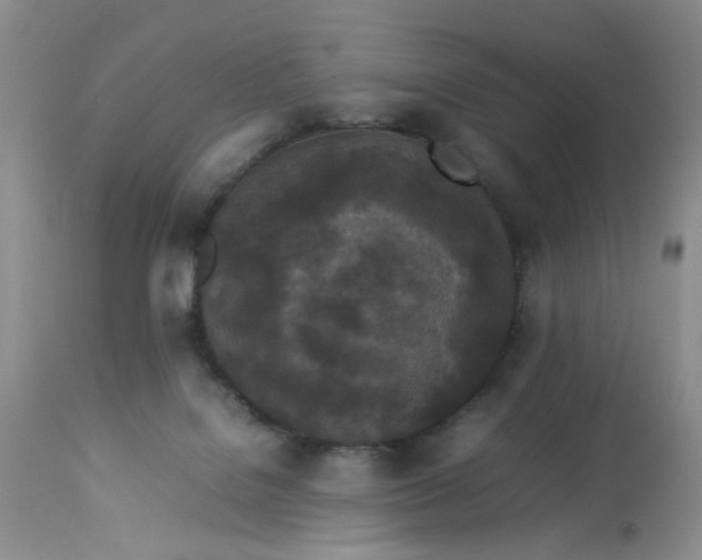 X0000112870076200909111542