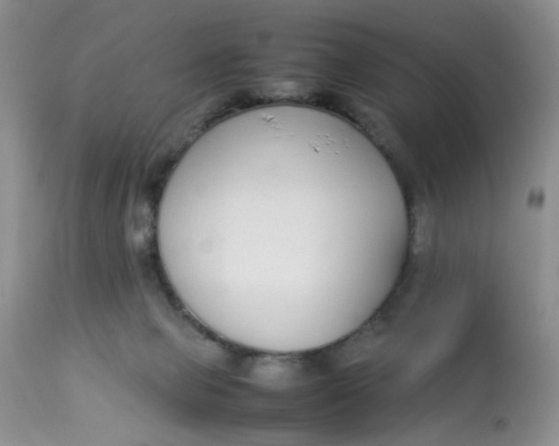 X0000112870077200909111542