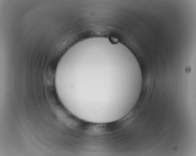 X0000112870078200909111542