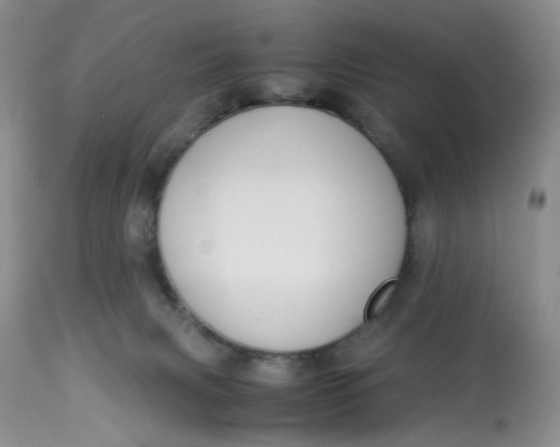 X0000112870079200909111542