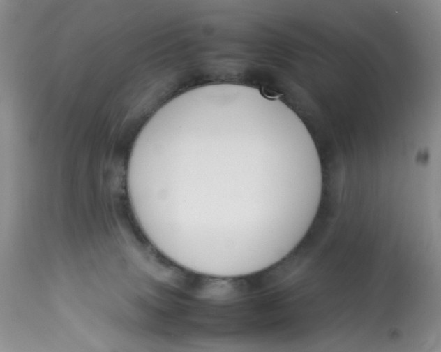 X0000112870083200909111542