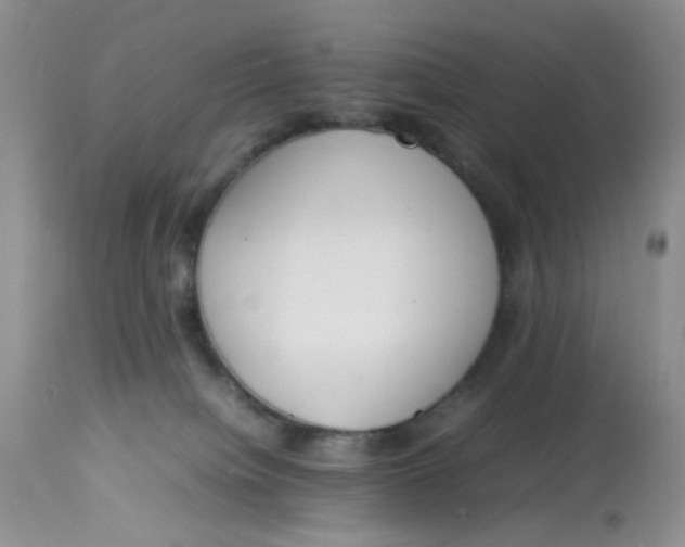 X0000112870084200909111542