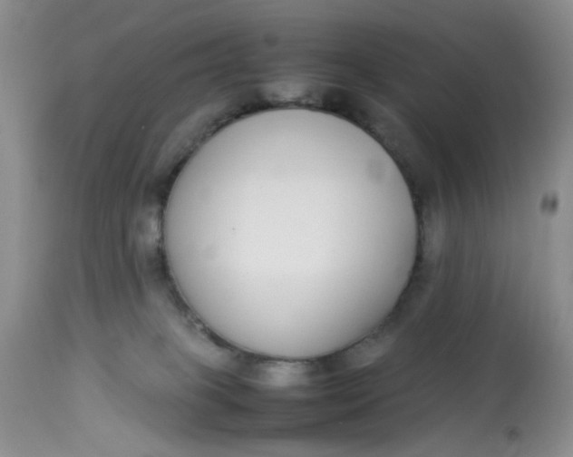 X0000112870085200909111542