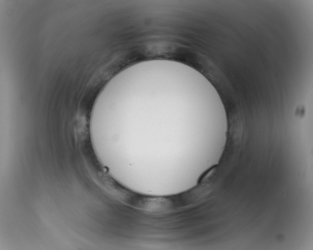 X0000112870087200909111542