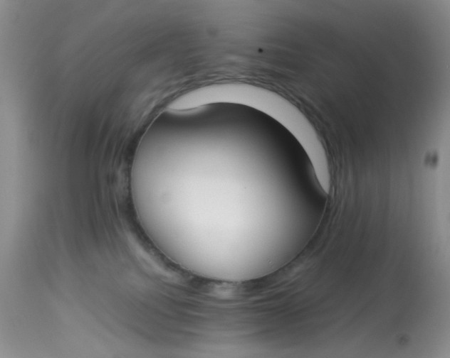 X0000112870088200909111542