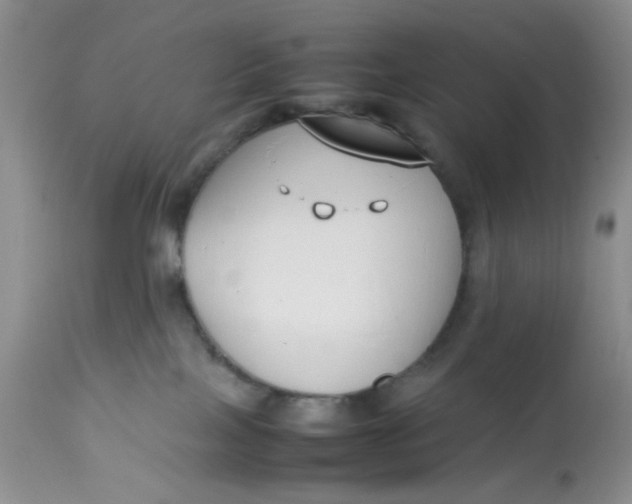 X0000112870089200909111542