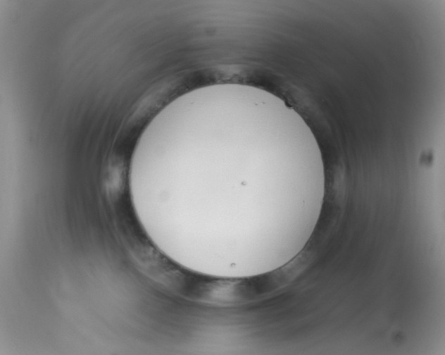 X0000112870090200909111542