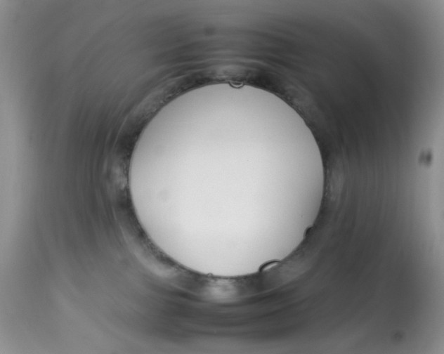 X0000112870091200909111542