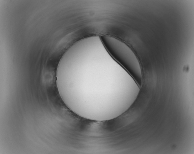 X0000112870092200909111542