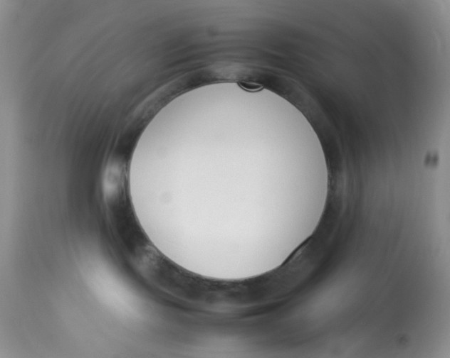 X0000112870095200909111542