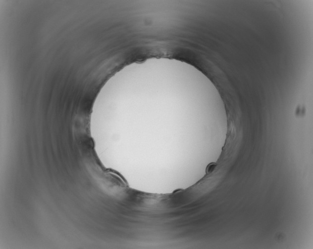 X0000112870096200909111542