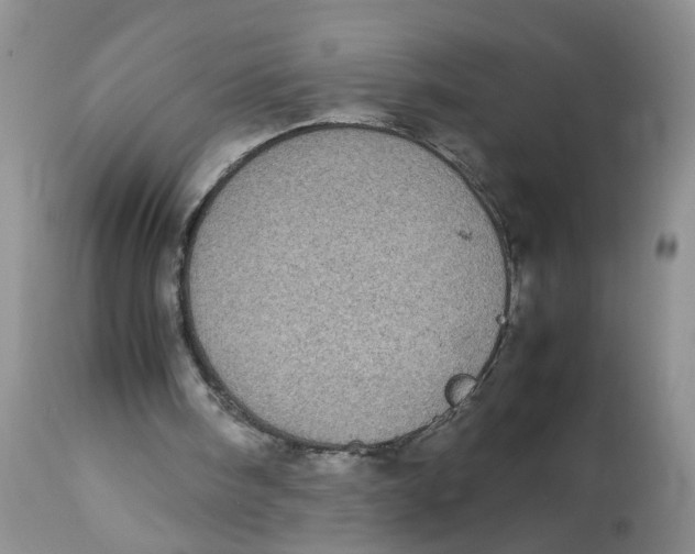 X0000112870098200909111541