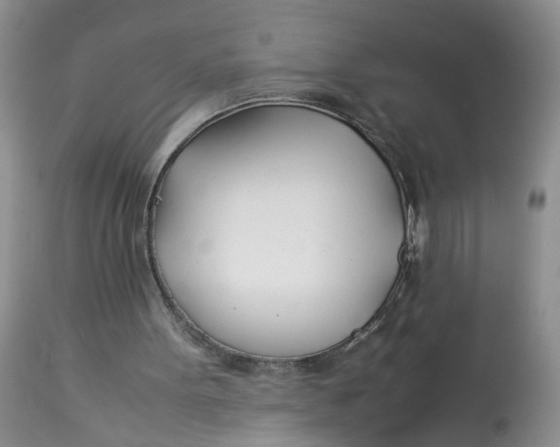 X0000112870099200909111541