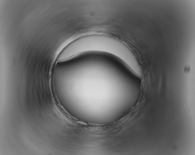 X0000112870100200909111541