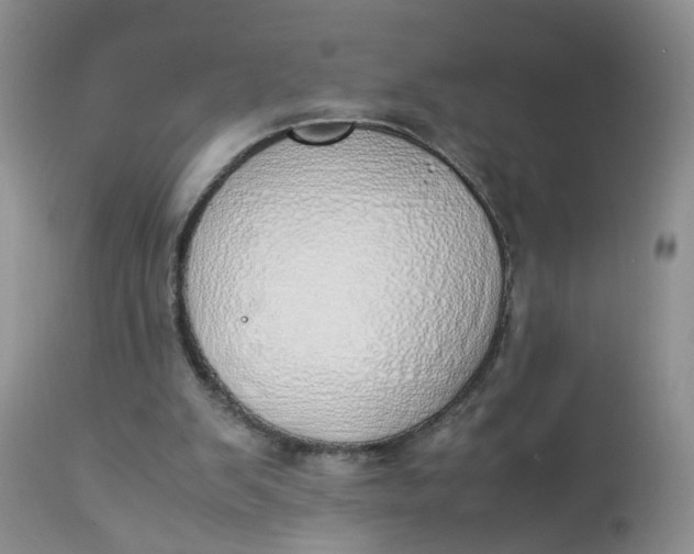 X0000112870103200909111541