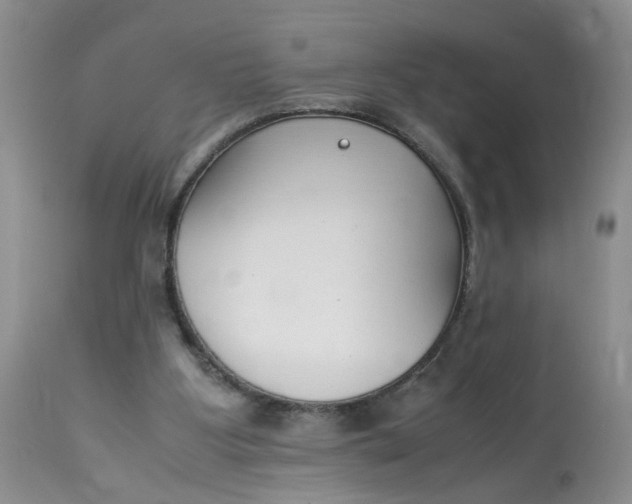 X0000112870107200909111541