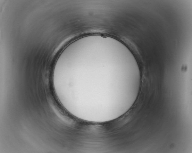 X0000112870108200909111541