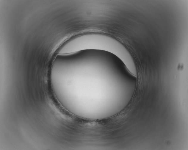 X0000112870112200909111541