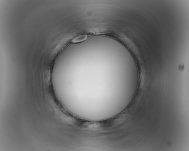 X0000112870113200909111541