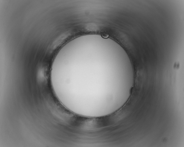 X0000112870116200909111541