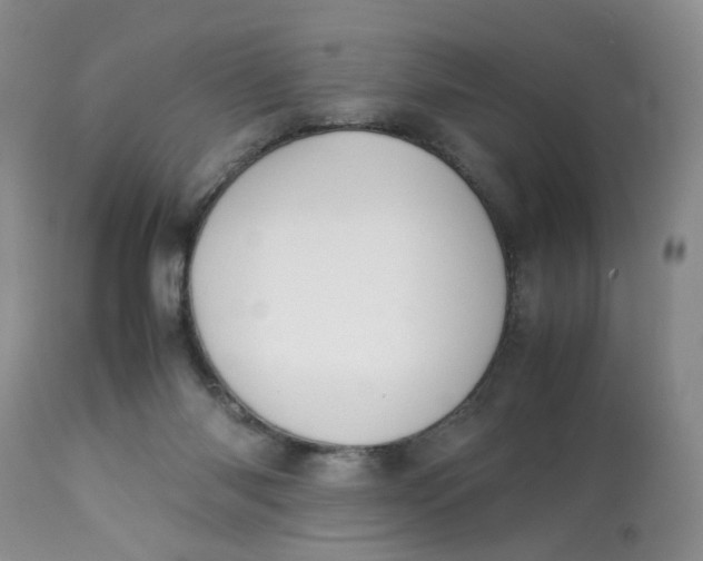 X0000112870118200909111541