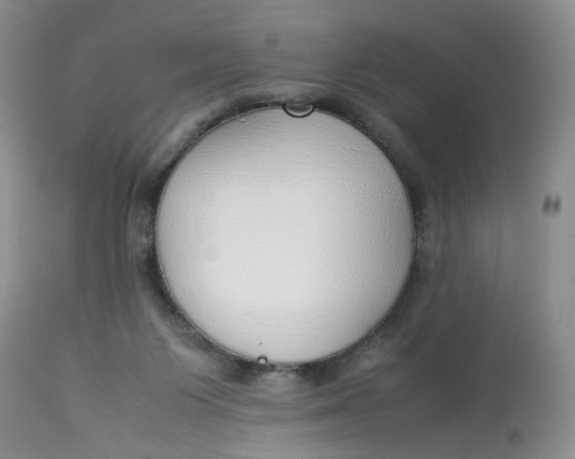 X0000112870119200909111541