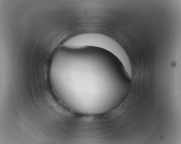 X0000112870120200909111541