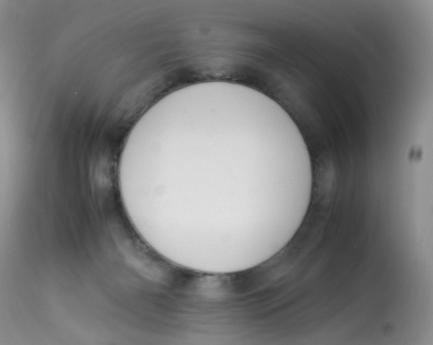 X0000112870126200909111541