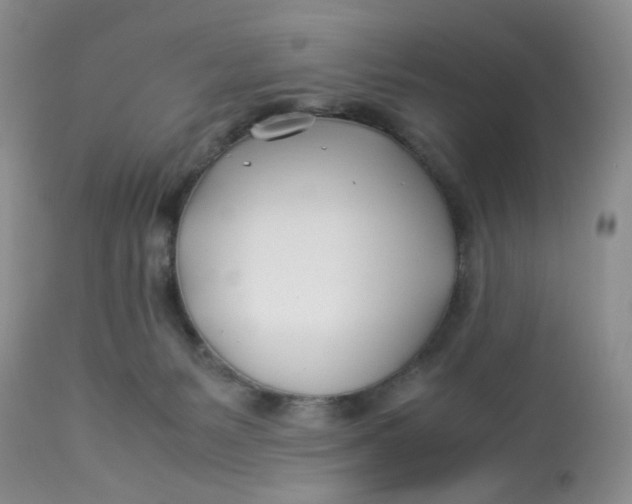 X0000112870127200909111541