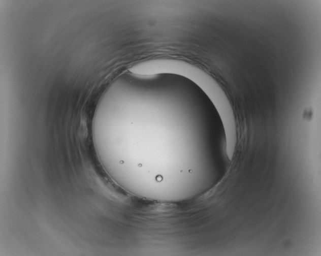 X0000112870128200909111541