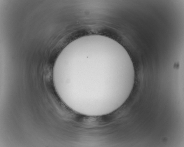 X0000112870129200909111541