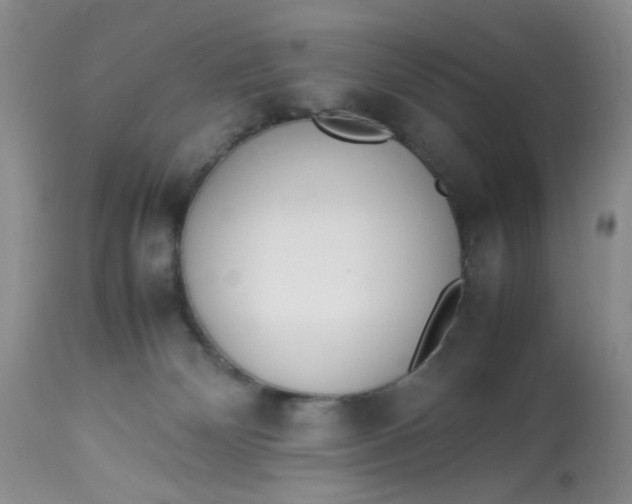 X0000112870132200909111541