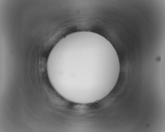 X0000112870133200909111541