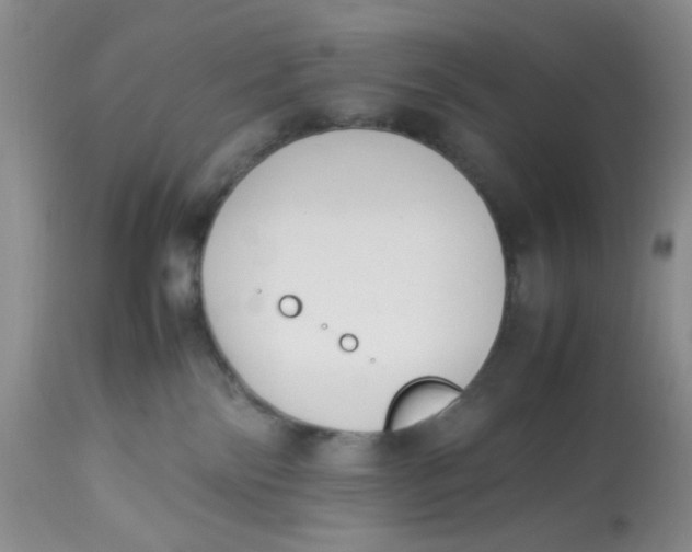 X0000112870138200909111541