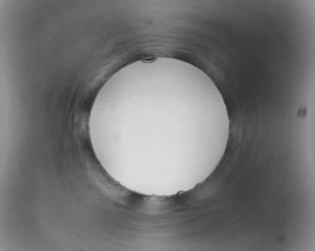 X0000112870141200909111541