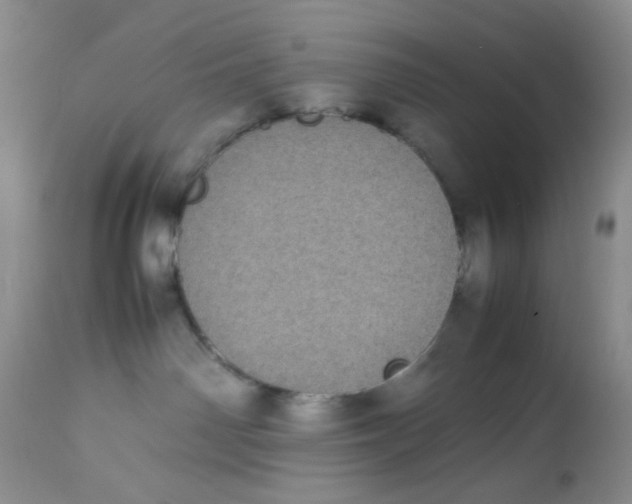 X0000112870142200909111541