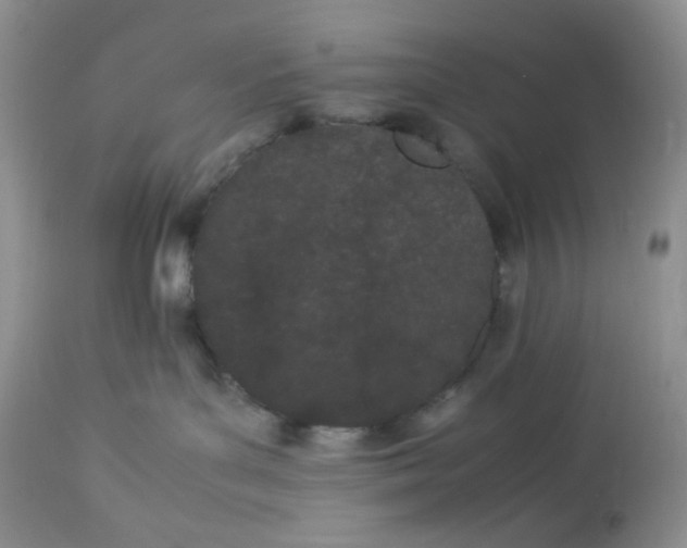 X0000112870143200909111541