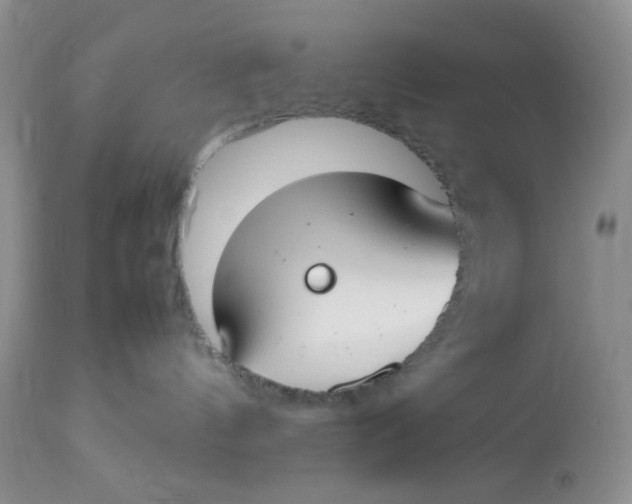 X0000112870144200909111541