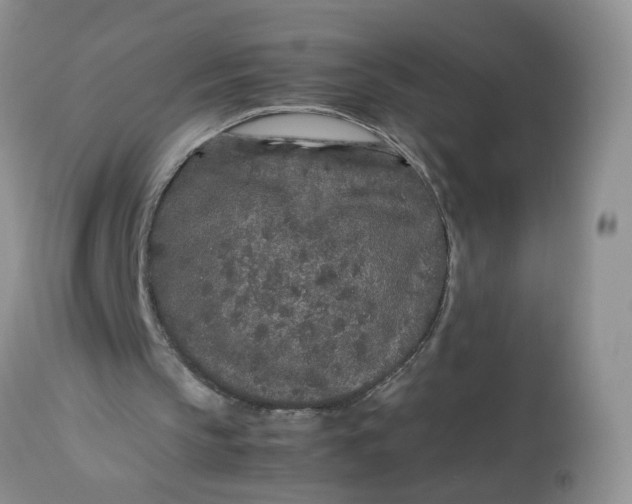 X0000112870145200909111540