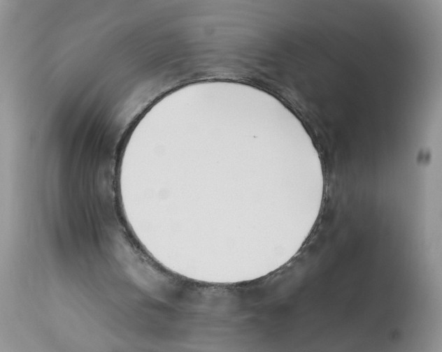 X0000112870146200909111540