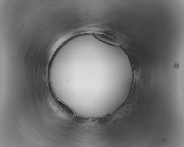 X0000112870148200909111540