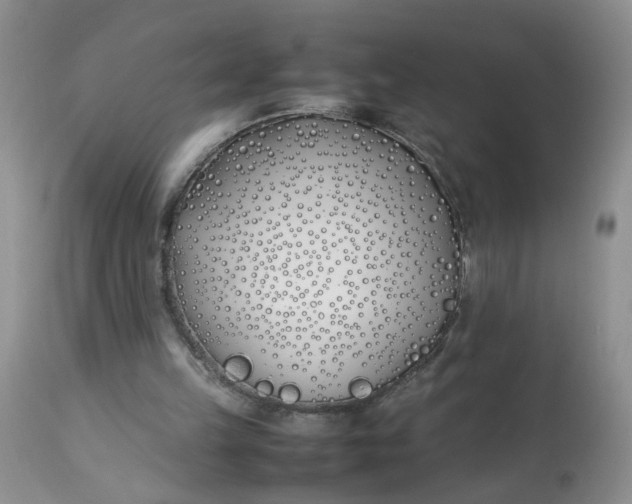 X0000112870149200909111540