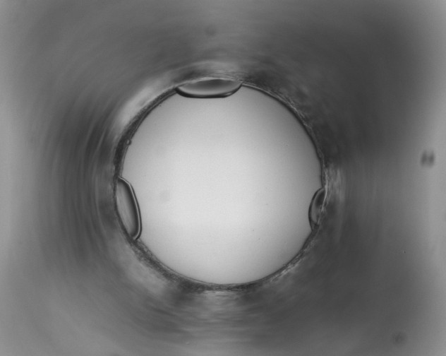 X0000112870150200909111540