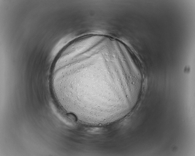 X0000112870151200909111540