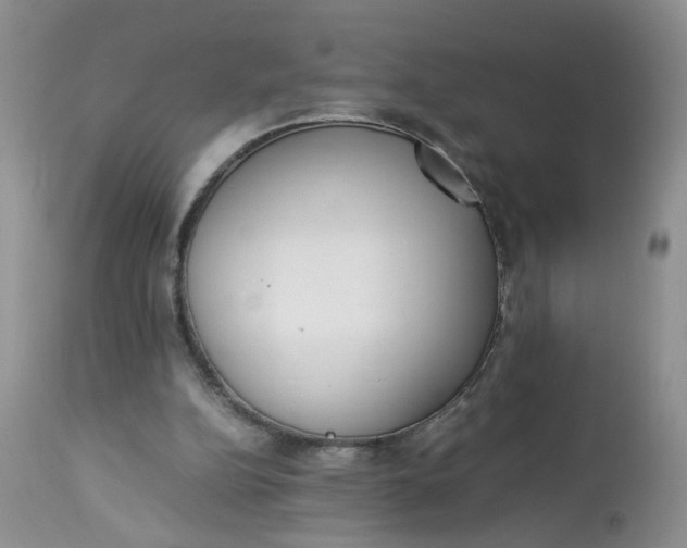 X0000112870152200909111540