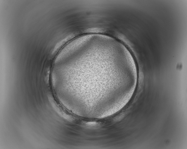 X0000112870153200909111540