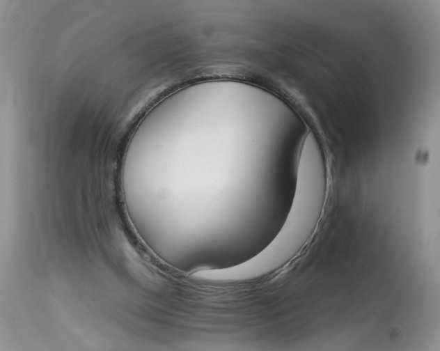 X0000112870154200909111540