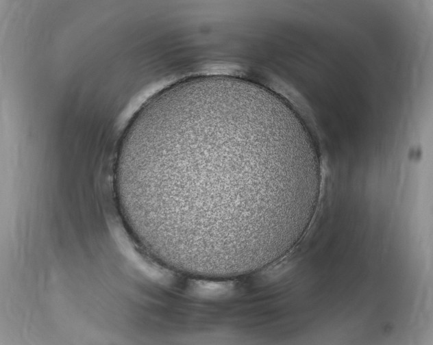 X0000112870155200909111540