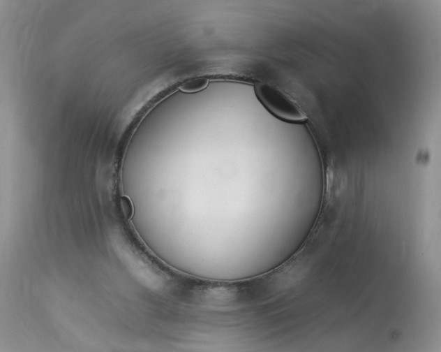 X0000112870156200909111540