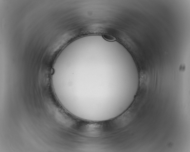 X0000112870158200909111540